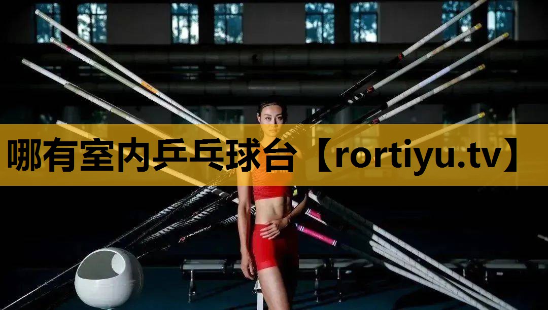 哪有室内乒乓球台