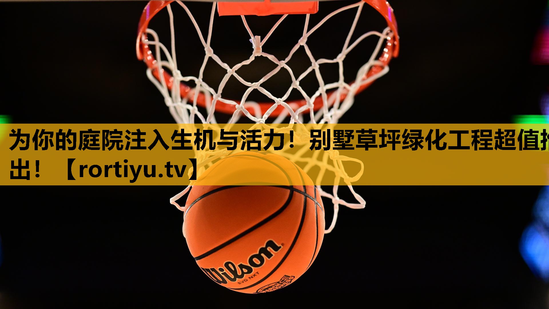 为你的庭院注入生机与活力！别墅草坪绿化工程超值推出！