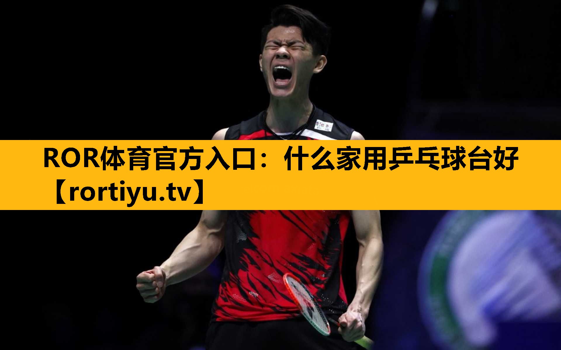 什么家用乒乓球台好