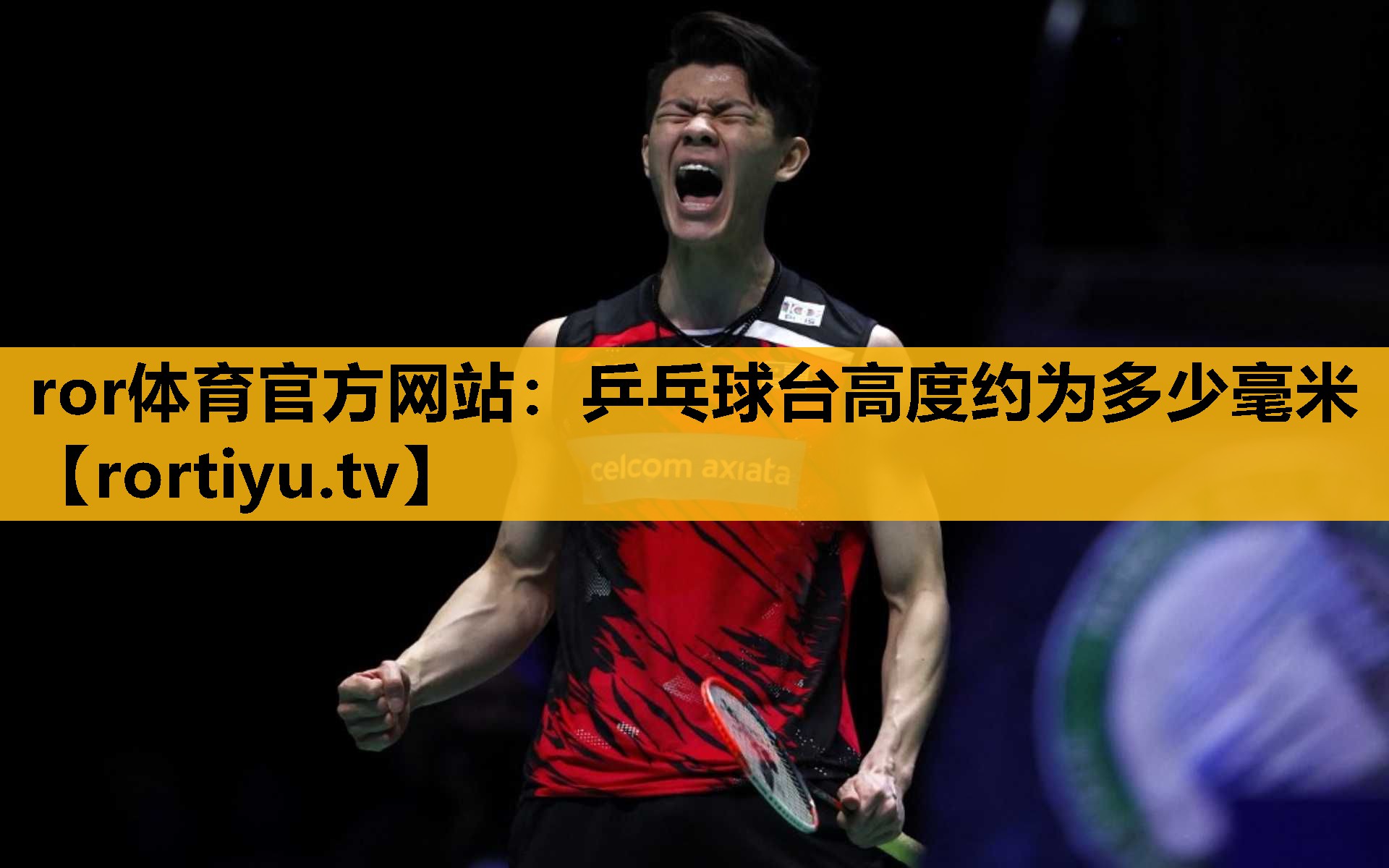 乒乓球台高度约为多少毫米
